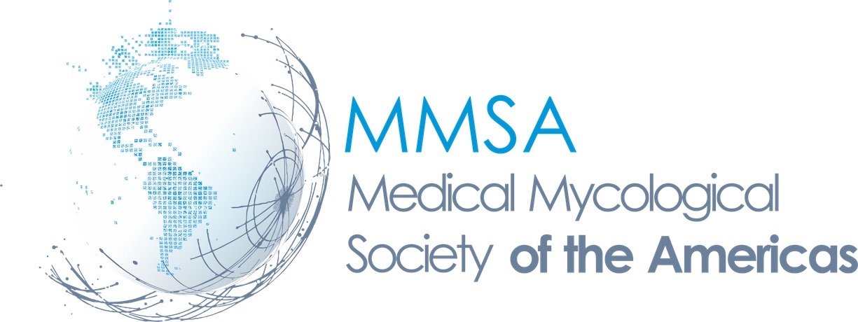 Logo MMSA